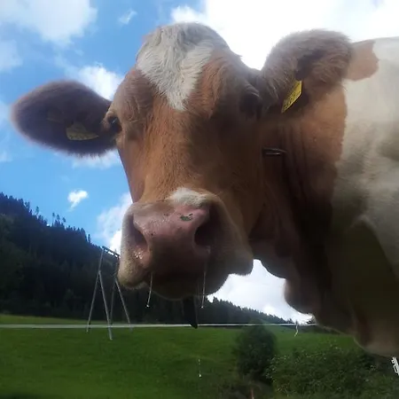 Biobauernhof Lercher