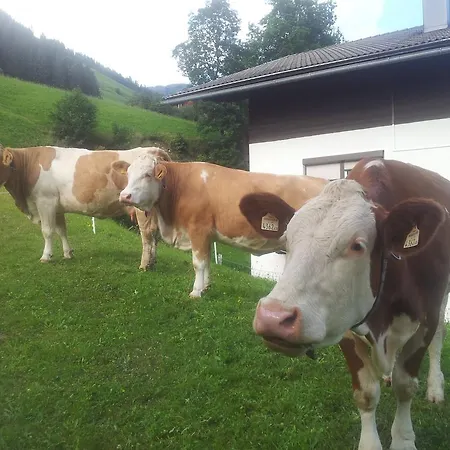 Séjour à la ferme Biobauernhof Lercher *