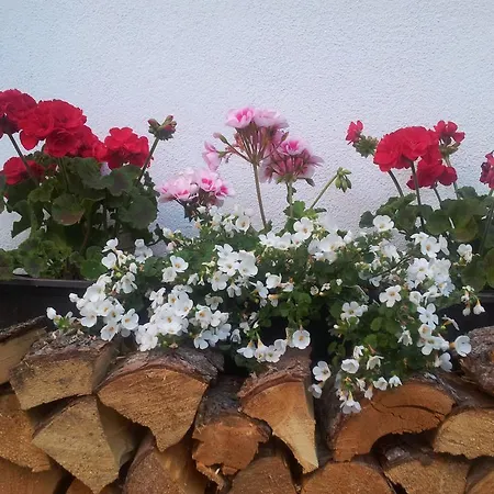 Biobauernhof Lercher Alloggio per agriturismo