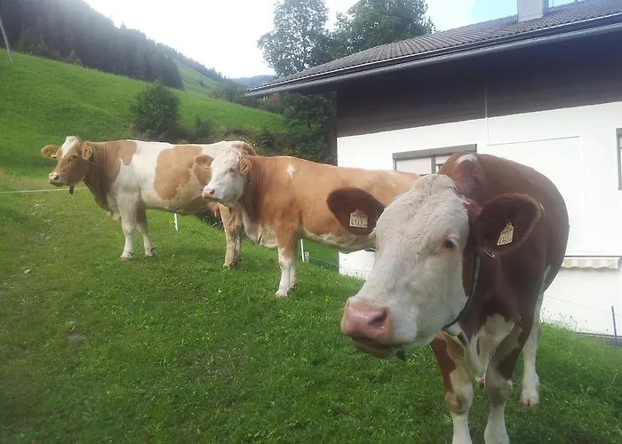 Vakantieboerderij Biobauernhof Lercher *