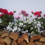Biobauernhof Lercher مزرعة للإقامة