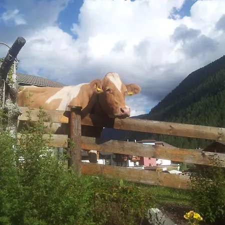 Lantgård Biobauernhof Lercher