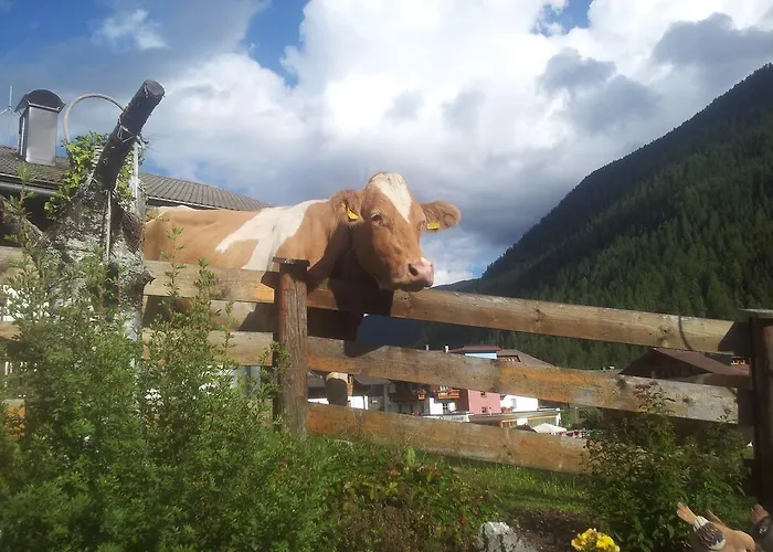 Agroturismo Biobauernhof Lercher