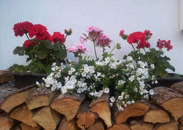 Biobauernhof Lercher Agroturismo